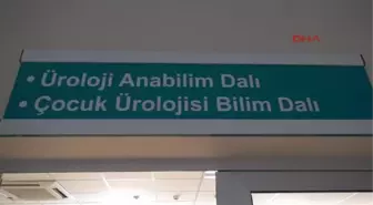 Prof. Dr. Aşçı: Kanser Tedavisi Görenler Spermlerini Dondursun