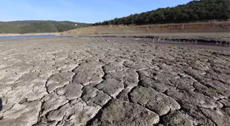 Kışlar Artık Ilık ve Kurak