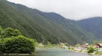 Uzungöl'ün Geleceği İçin Artık Taviz Yok