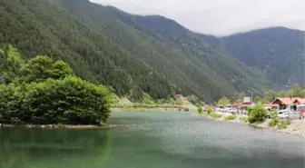 Uzungöl'ün Geleceği İçin Artık Taviz Yok