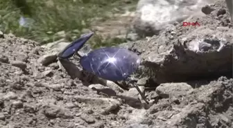 Güneş Gözlüğünü Temizlerken Kaza Yaptı