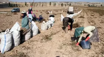 Çiftçilere Çks Uyarısı