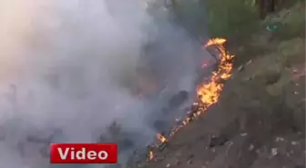 Samsun'da Orman Yangını Söndürülemiyor