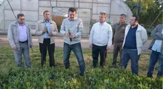 Genel Müdür Yardımcısı Yunus Şeker, Erzurum'da İncelemelerde Bulundu