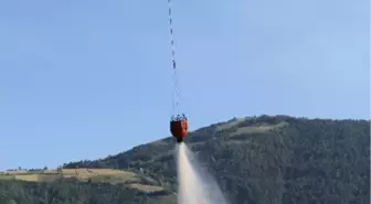 Ayvacık'taki Orman Yangını Söndürüldü