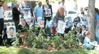 Terör Örgütünün Çocuk Kaçırması