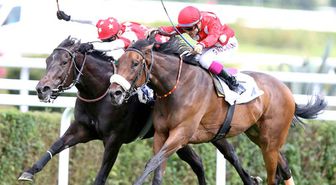 Gazi Koşusu'nu Blaze To Win İsimli At Kazandı