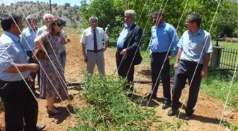 Pütürge'de Organik Tarım ve Sebzecilik Toplantısı