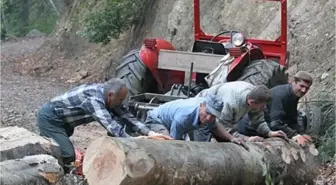 Çanakkale'de En Çok Beden İşçisi Aranıyor