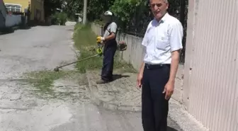 Muhtarlardan, Tırpan Çalışmasına Teşekkür