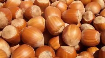 Fındık İthalatını Rafa Kaldırdık'