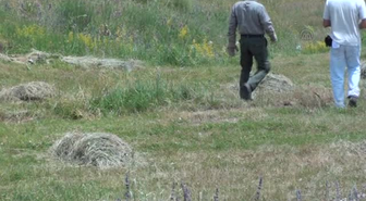 Van Kertenkelesi koruma altına alınıyor -