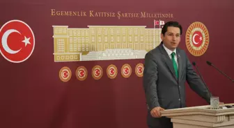 Aykan Erdemir : Hükümet 'Bonzai' İçin Etkin Eylem Planını Hayata Geçirmesi Gerekiyor