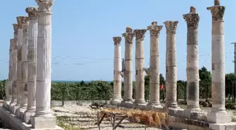 Soli Pompeipolis Kazıları 15 Temmuz'da Başlayacak