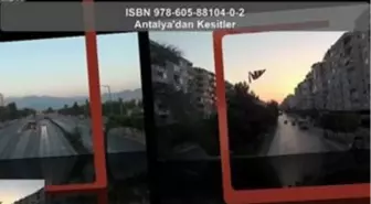 Antalya'dan Kesitler