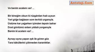 Bahattin Karakoç - Acelem Var!