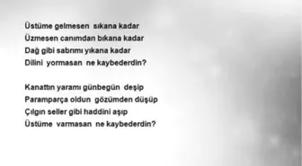 Cemal Safi - Ne Kaybederdin
