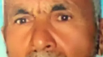 Çimento Tankeri Otomobille Çarpıştı: 3 Ölü, 1 Yaralı