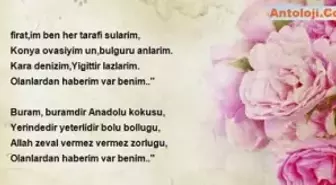 Erdal Canbulat - Turkiye Diliyim