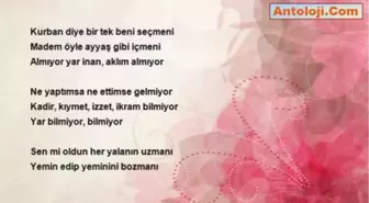 Erdal Koca - Aklım Almıyor