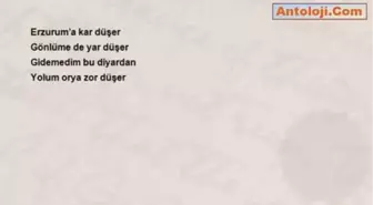Halil Çolak - Erzurum'a Kar Düşer