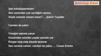 Halil Müftüoğlu - Aa Canımın Cananısın.