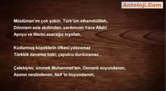Mustafa Çelebi Çetinkaya - Türklük Davamız Baki **