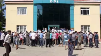 Muz ve Çilek Üreticisinden KKTC İçin Su Tutma Tepkisi