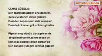 Şeyhmus Sait Aydın - Olmaz Güzelim