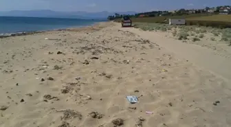 Sinop'ta Kumsallar Temizleniyor
