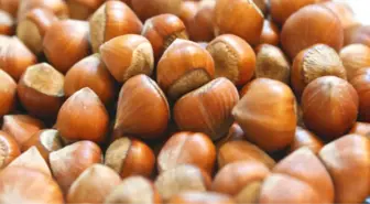 Oltan Gıda, İtalyan Ferrero Tarafından Satın Alındı