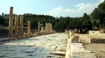 Uygarlıklarla İç İçe Yaşıyorlar