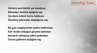 Yasar Aydın - Leyla Misali