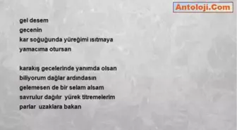 Zeki Ergin - Gel Desem