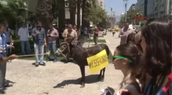 AK Parti'den Eşekle Ulaşım Protestosu