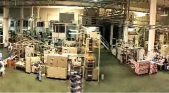 Fortune 500'e Oba Grup Damgası