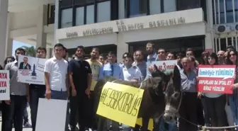 İzmir'de AK Parti'den Eşekle Ulaşım Protestosu