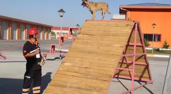 AFAD'ın Dominik'ten Arama Kurtarma Ekibine Verdiği Eğitim Sona Erdi