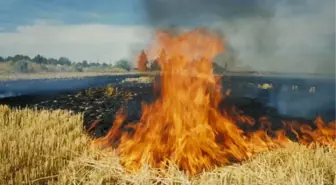 Doğa Dostu Biçerdöverler Anız Yakmaya Alternatif Oluyor
