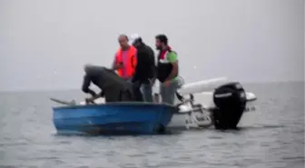 Sapanca Gölünde Yaşayan Canlılar Kuraklık ve Kaçak Avcılarla Şavaşıyor