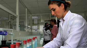 Bisküvi Fabrikalarının Hammadde Sıkıntısını Giderecekler