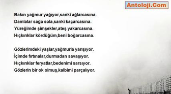 Reyhan Altaş - İçimde Fırtınalar