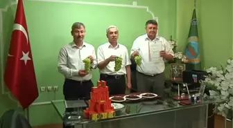 Saruhanlı 'Üzümün Başkenti' patentini aldı -