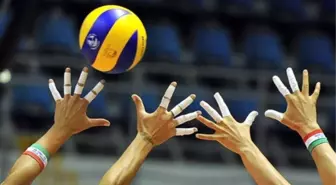 Voleybol: 2014 Cev Bayanlar Avrupa Ligi