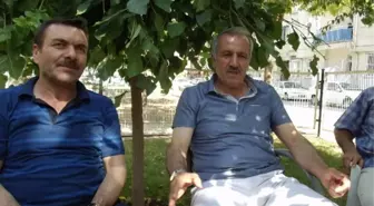 Milletvekili Şahin, Şifa Mahallesini Ziyaret Etti