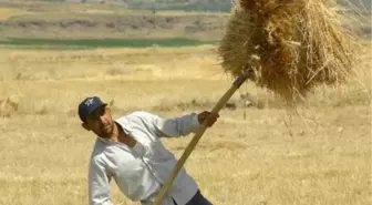 Nevşehir'de Tahıl Üreticisini Kuraklık Vurdu