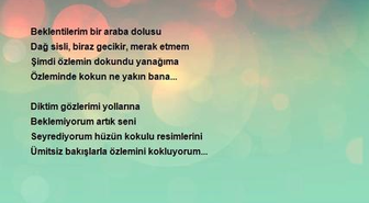 İbrahim Ethem Bingül - Özlemini Kokluyorum...