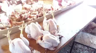 Keçiören'de Kaçak Tavuk Kesimi Yapanlara Baskın