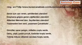 Mustafa Çelebi Çetinkaya - Çanakkale