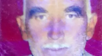 Tarlasında Ölü Bulundu